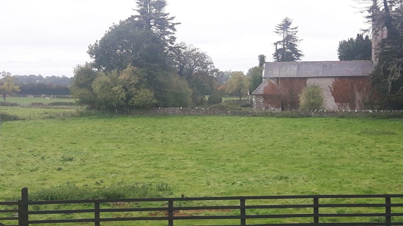 Chapel Meadow LodgeClonard エクステリア 写真